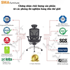 Ghế công thái học GTChair Dvary Butterfly
