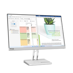Màn Hình Lenovo L24E-40 67AAKAC3VN (23.8 inch - FHD - VA - 100Hz - 4ms)