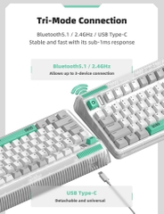 Bàn Phím Cơ Iqunix OG80 Wormhole Wireless