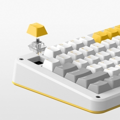 Bàn Phím Cơ IQUNIX ZX75 Gravity Wave Wireless