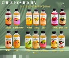 COMBO 6 VKOMBUCHACHILL MIX LIGHT