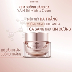 Kem dưỡng da trắng sáng SHINY WHITE CREAM 30gr - Y.A.M