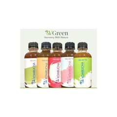 Thùng 24 chai mix vị VKombucha