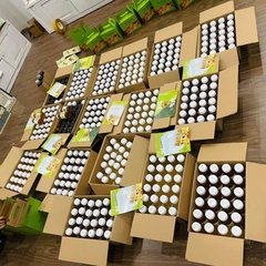 Thùng 24 chai kombucha Light mix vị