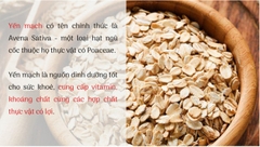 Yến mạch Oats 500gr
