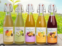 Trà Kombucha Chill Vgreen 500ml