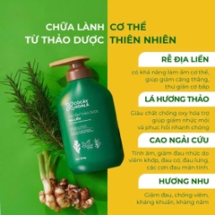 Sữa tắm thảo dược Địa Liền - Cỏ Cây Hoa Lá Hương Thơm Tỉnh Thức Mọi Giác Quan 500g