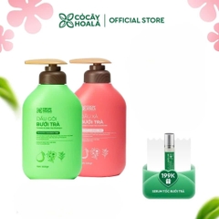Combo Gội Xả Bưởi Trà Cỏ Cây Hoa Lá 500g Phục Hồi Tóc Hư Tổn