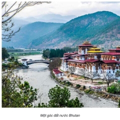 Trầm que Jaju Bhutan bó giấy vàng theo công thức từ Kinh điển Phật Dược Sư