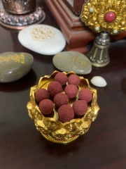 PHÁP DƯỢC TRÍ TUỆ TRƯỜNG THỌ MIPHAM - LARUNG GAR MONASTERY MENDRUP