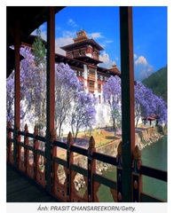 Hương trầm Hi Mã Lạp Sơn 