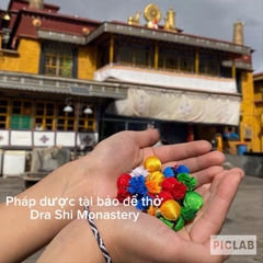 Pháp Dược Tài Bảo Để Thờ