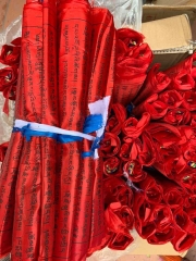Cờ wangdu