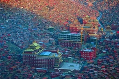 PHÁP DƯỢC TRÍ TUỆ TRƯỜNG THỌ MIPHAM - LARUNG GAR MONASTERY MENDRUP