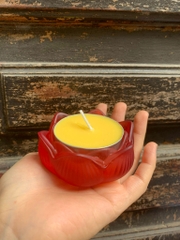 Đèn Bơ Thực Vật cúng dường 12 giờ