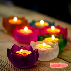 Đèn Bơ Thực Vật cúng dường 12 giờ