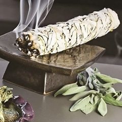 Xô Thơm - Sái Tịnh Hương white sage california