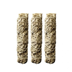Xô Thơm - Sái Tịnh Hương white sage california