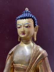Phật Bổn Sư Thích Ca 