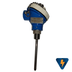 Cảm biến nhiệt độ K 2 dây phi 10 Ren 21 DK1102K (K ĐK 10 L200 R1/2)