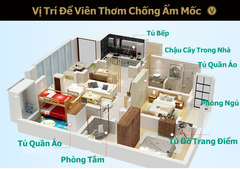 Viên Chống Ẩm, Viên Thơm Khử Mùi