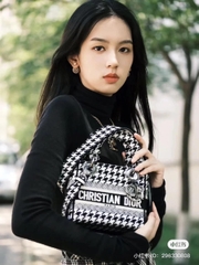 Túi Di Lady Caro Đen Jisoo Vải 2022 (Có hộp)