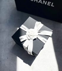 Túi X Vanity Pearl SP (Có hộp)