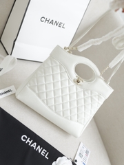 Túi X C31 Hobo Da Lì Size 24cm Có 2 hộp