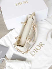 Túi Di DJoy Da Lì Khóa Vàng Size 22cm có 2 hộp