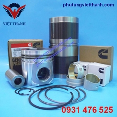 Bộ hơi động cơ Cummins 6C8.3