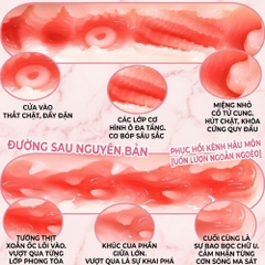 Âm đạo giả nguyên khối Muyuan Young Lady 1.5kg