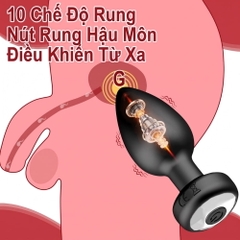 Plug hậu môn GOK QM-7 Remote