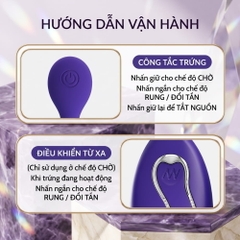 Trứng rung Pretty Love Willie-Youth Remote