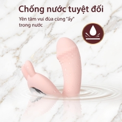 Chíp rung Little Dance remote