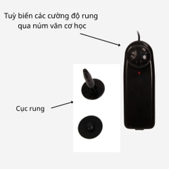 Dương vật giả có dây đeo Baile Ultra Passionate Harness đặc