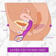 Dương vật giả Sex Angel