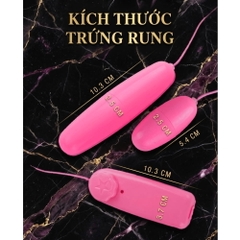 Trứng rung 2 đầu