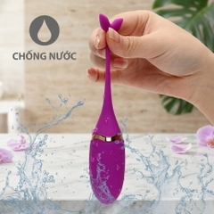 Trứng rung GOK Cá Heo Remote