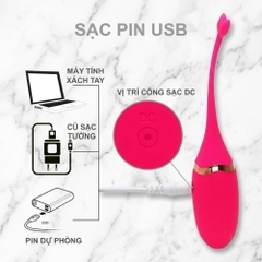 Trứng rung GOK Cá Heo Remote