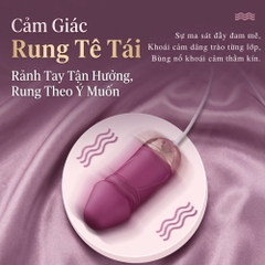 Trứng rung Shengle Dương Vật