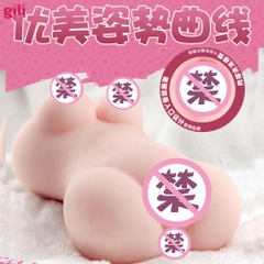 Âm đạo giả nguyên khối Drywell Mizuki Akane 1.2kg chính hãng