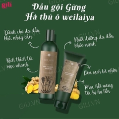 Bộ gội xả Hà Thủ Ô Weilaiya Zingiber 400ml + 250ml chính hãng