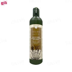 Bộ gội xả Hà Thủ Ô Weilaiya Zingiber 400ml + 250ml chính hãng