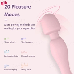 Chày rung Drywell Blossom massage chính hãng