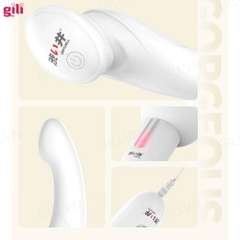 Chày rung hai đầu Drywell Queen’s Scepter massage chính hãng