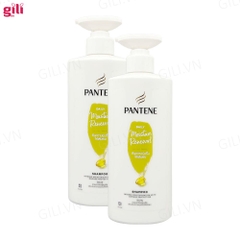 Dầu gội Pantene Daily Moisture Renewal 410ml chính hãng