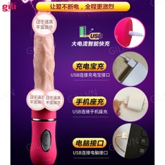 Dương vật giả Ailighter đa năng chính hãng