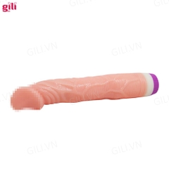 Dương vật giả Baile 2 Pin chính hãng