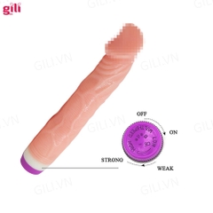 Dương vật giả Baile 2 Pin chính hãng