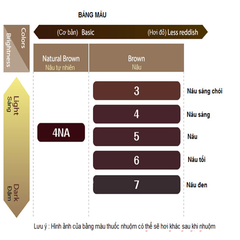 Nhuộm Phủ Bạc Bigen Hoyu Dạng Kem-Nâu Đen 7G